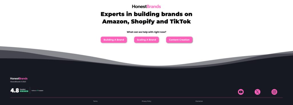 Website da Honest Brands